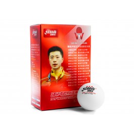 DHS D40+ 3*** ITTF World Tour 6 balles