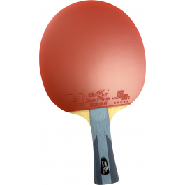 Double Fish Racket CM-1