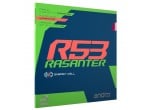 Voir Table Tennis Rubbers Andro Rasanter R53