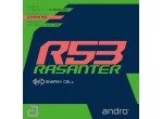 Voir Table Tennis Rubbers Andro Rasanter R53