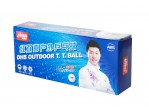 Voir Table Tennis Balls DHS D40+ Outdoor 10 Balles