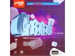 Voir Table Tennis Rubbers DHS G666