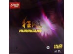 Voir Table Tennis Rubbers DHS Hurricane 3 Provincial 38'