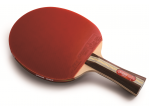 Voir Table Tennis bat DHS Raquette 3002 FL