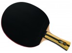Voir Table Tennis bat DHS Raquette A4002 FL