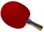 Voir Table Tennis bat DHS Raquette 5002 FL 