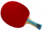 Voir Table Tennis bat DHS Raquette 6002 FL