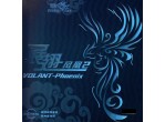 Voir Table Tennis Rubbers Double Fish Volant-Phoenix-2 37'
