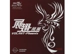 Voir Table Tennis Rubbers Double Fish Volant-Phoenix 40'
