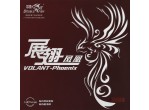 Voir Table Tennis Rubbers Double Fish Volant-Phoenix 41'