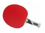 Voir Table Tennis Bats Bat Neottec 1000