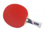 Voir Table Tennis bat Bat Neottec 5000