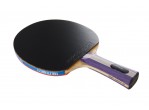 Voir Table Tennis Bats Pro Raquette Magic Hinomi (FL)