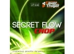 Voir Table Tennis Rubbers Sauer Tröger Secret Flow