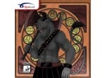 Voir Table Tennis Rubbers Spinlord Minotaur OX