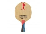 Voir Table Tennis Blades Victas Gladias HA
